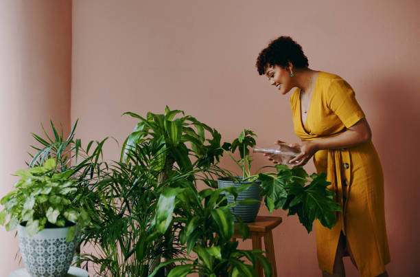 Black woman caring for plants.