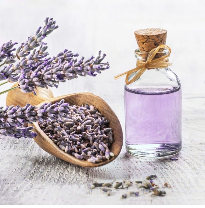 The Impressive Benefits of Using Lavender Essential Oil