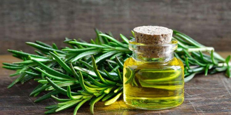 Rosemary Oil Might Be Just What You Need To Finally Improve Thinning Edges