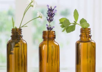 10 Essential Oils That Are A Must-Have for Your Wellness Routine