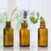 10 Essential Oils That Are A Must-Have for Your Wellness Routine