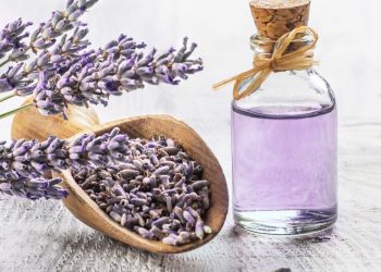 The Impressive Benefits of Using Lavender Essential Oil