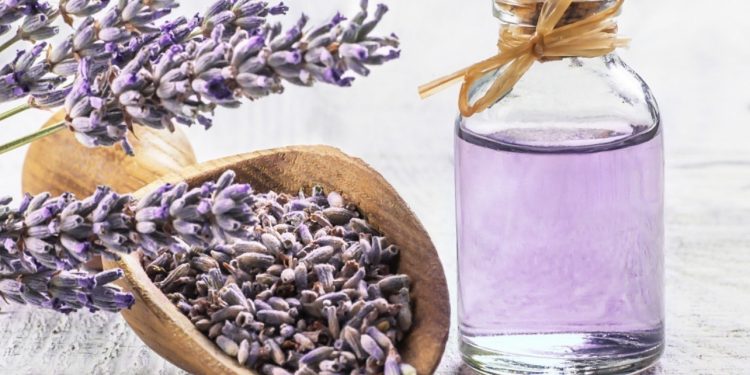 The Impressive Benefits of Using Lavender Essential Oil