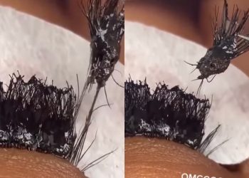 This TikTok Account Is Exposing Bad Lash Extension Practices – Client Had Hair Glue And Lash Extension Glue On Lashes