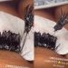 This TikTok Account Is Exposing Bad Lash Extension Practices – Client Had Hair Glue And Lash Extension Glue On Lashes