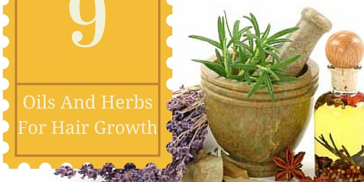 9 Great Herbs And Oils That Prevent Hair Loss And Promote Hair Growth