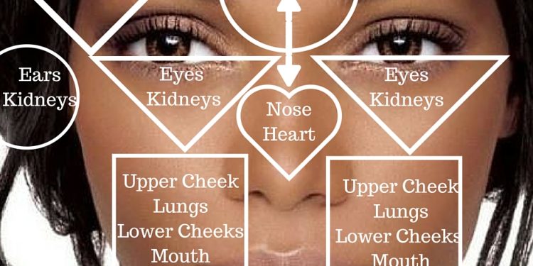 The Face Map And What It Tells You About Your Internal Health