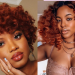 These 16 Women With Ginger Natural Hair Color Is The Fall Inspo You Are Looking For