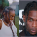 How To Do Knotless Travis Scott Braids