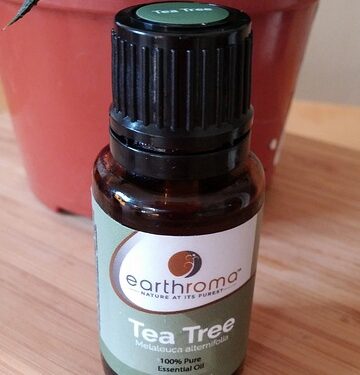 Tea Tree Oil: Benefits and How To Use It