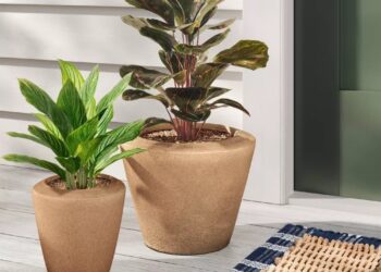 best target products