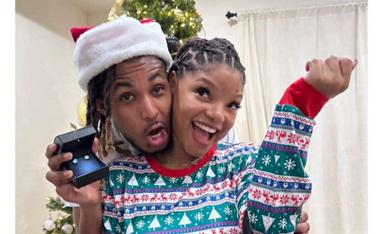 Fans Now Think Halle Bailey Is No Longer Pregnant and Had The Baby