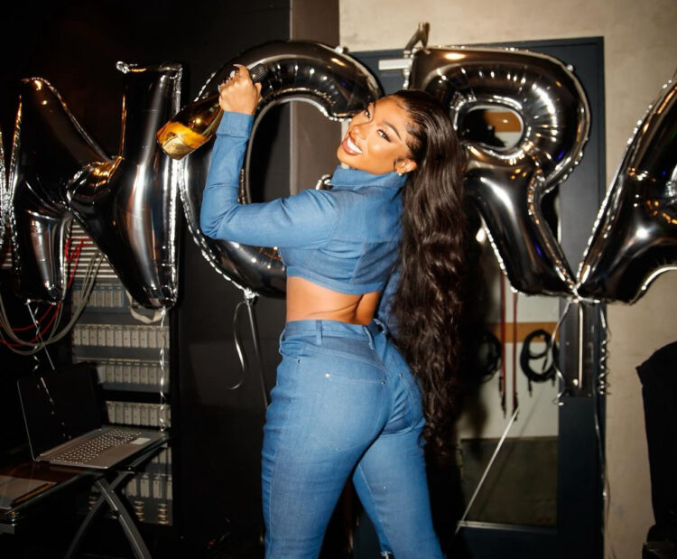 A one of a kind deal! Megan Thee Stallion Signs Distribution Deal With Warner Music Group, Will Remain Independent