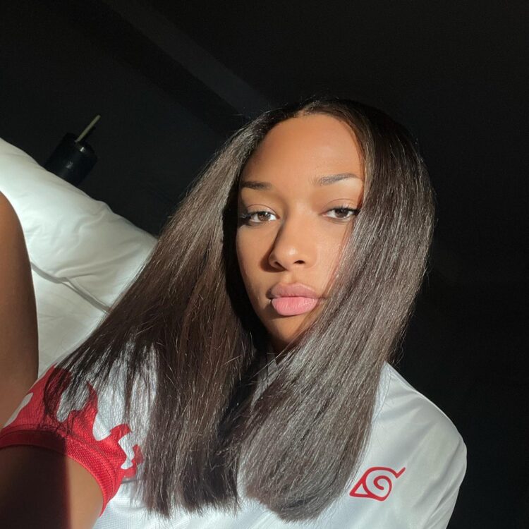 megan thee stallion's natural hair