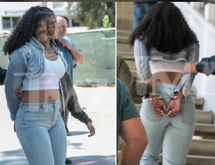 Chrisean Rock Arrested While At Court Supporting Blueface