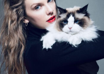 Taylor Swift Has Endorsed Kamala Harris After Watching The Debate