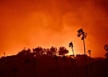 Los Angeles Wildfire