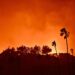 Los Angeles Wildfire