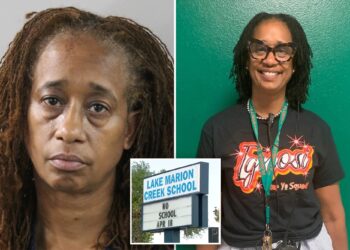 vice principal