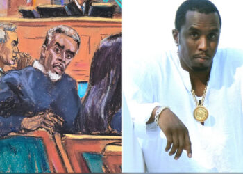 Diddy Asks Court Artist To Stop Making Him Look Like A Koala